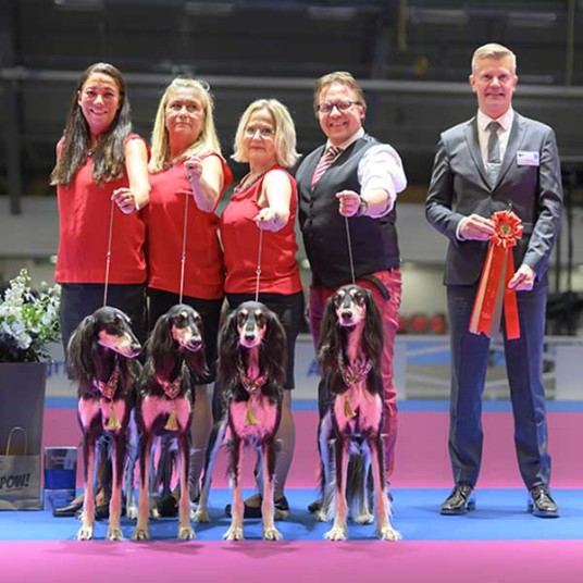 Uppfödargrupp från kennel Badavie