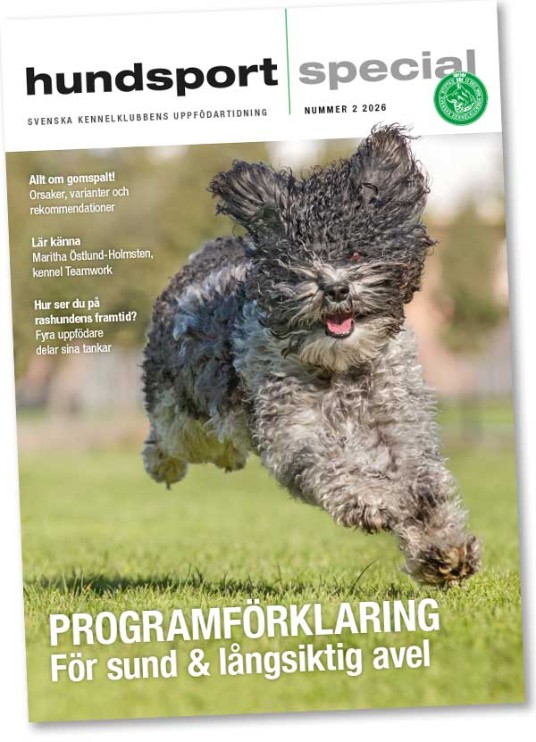 Hundsport Special
