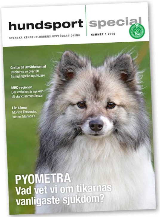 Hundsport Special