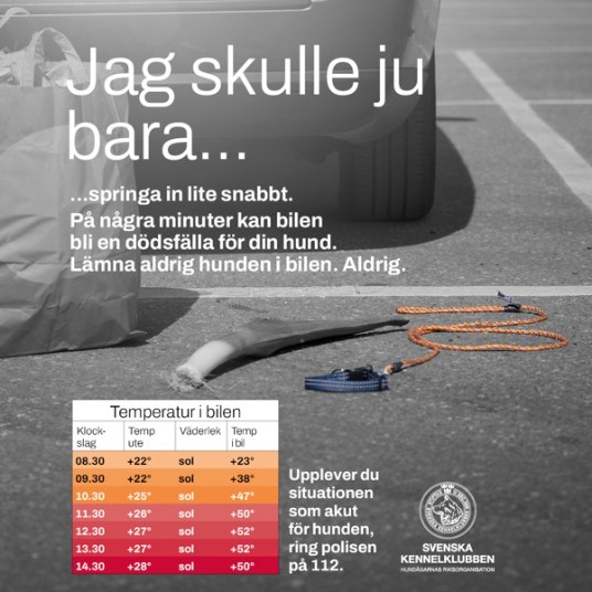 Kampanjbild med temperaturtabell