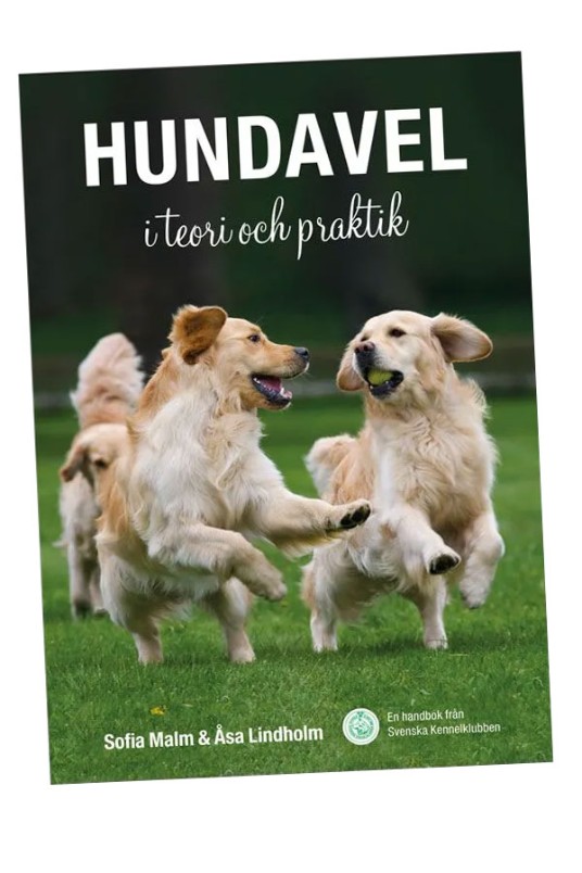 Bokomslag med tre golden retriever