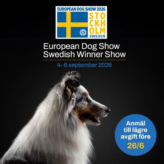 Två shelties på svart bakgrund och logotyper