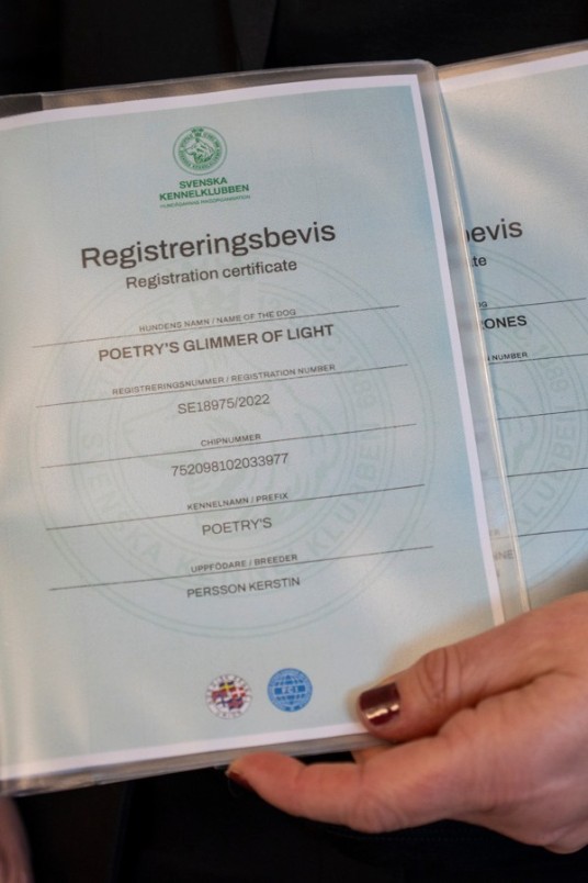 Registreringsbevis