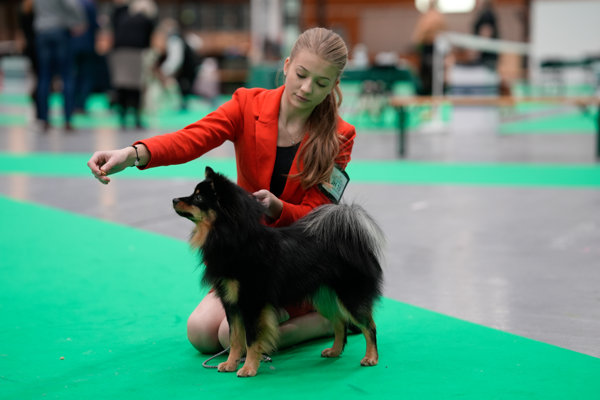 Flicka som handlar en spets