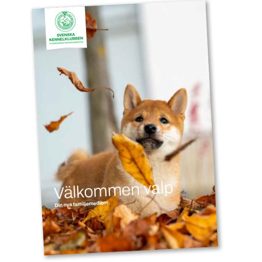 Broschyren Välkommen valp